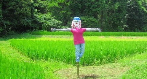 ほどがや☆元気村　フォトギャラリー